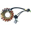 Stator Standard RICKS MOTORSPORT Stator – miniatyr 2
