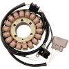 Stator Standard RICKS MOTORSPORT Stator – miniatyr 1