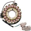 Stator Standard RICKS MOTORSPORT Stator – miniatyr 1