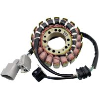 Stator Standard RICKS MOTORSPORT