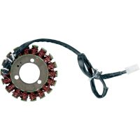 Stator Standard RICKS MOTORSPORT