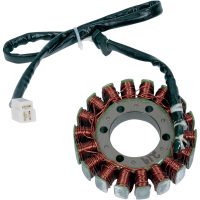 Stator Standard RICKS MOTORSPORT