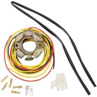 Stator Standard RICKS MOTORSPORT