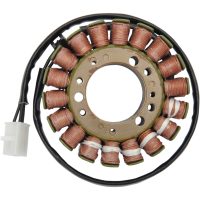 Stator Standard RICKS MOTORSPORT