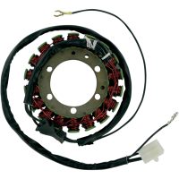 Stator Standard RICKS MOTORSPORT