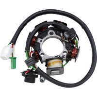 Stator Standard RICKS MOTORSPORT