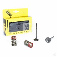 Steel Ex. Valve/Spring Kit KX250F04-16 + RM-Z25004-06 Prox