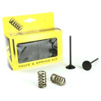 Steel Exhaust Valve/Spring Kit YZ250F 14-17 Prox