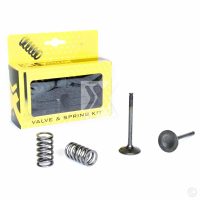 Steel Exhaust Valve/Spring Kit YZ/WR450F 03-09 Prox
