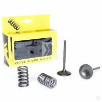 Steel Intake Valve/Spring Kit CRF450R 02-08 Prox