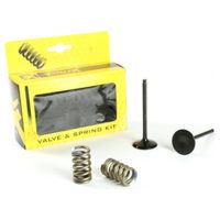 Steel Intake Valve/Spring Kit YZ250F 14-17 Prox