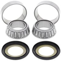 Steering Bearing-Set Centauro