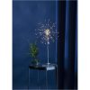 Stjärna på fot Firework Silver Star Trading – miniatyr 4