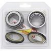 Styrhuvudlager Kit PIVOT WORKS – miniatyr 4