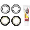 Styrhuvudlager Kit PIVOT WORKS – miniatyr 5