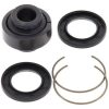 Styrlager Racing ALL BALLS – miniatyr 1