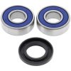 Styrlager Racing ALL BALLS – miniatyr 1