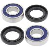 Styrlager Racing ALL BALLS – miniatyr 1