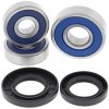 Styrlager Racing ALL BALLS – miniatyr 1
