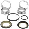 Styrlagersats ALL BALLS Styrlager – miniatyr 2