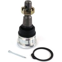 Styrled EPI