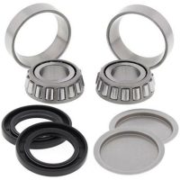 Svingarmslager Kit ALL BALLS