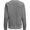 Sweatshirt Dam Softball Stålgrå Printer Essentials XS – miniatyr 3
