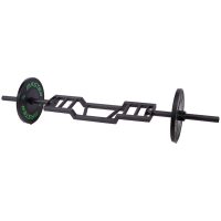 Swiss camber bar Master Fitness