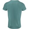 T-shirt American U Aloegrön James Harvest – miniatyr 2
