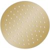 Takduschhuvud rostfritt stål 20 cm rund guld vidaXL ? 20 cm – miniatyr 2