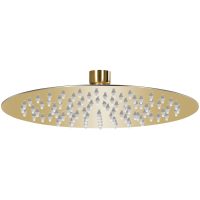 Takduschhuvud rostfritt stål 20 cm rund guld vidaXL