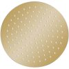 Takduschhuvud rostfritt stål 25 cm rund guld vidaXL Φ 25 cm – miniatyr 2