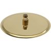 Takduschhuvud rostfritt stål 25 cm rund guld vidaXL Φ 25 cm – miniatyr 4