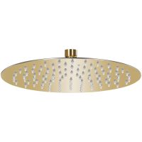 Takduschhuvud rostfritt stål 25 cm rund guld vidaXL