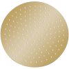 Takduschhuvud rostfritt stål 30 cm rund guld vidaXL ? 30 cm – miniatyr 2