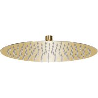 Takduschhuvud rostfritt stål 30 cm rund guld vidaXL