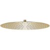 Takduschhuvud rostfritt stål 40 cm rund guld vidaXL Φ 40 cm – miniatyr 1