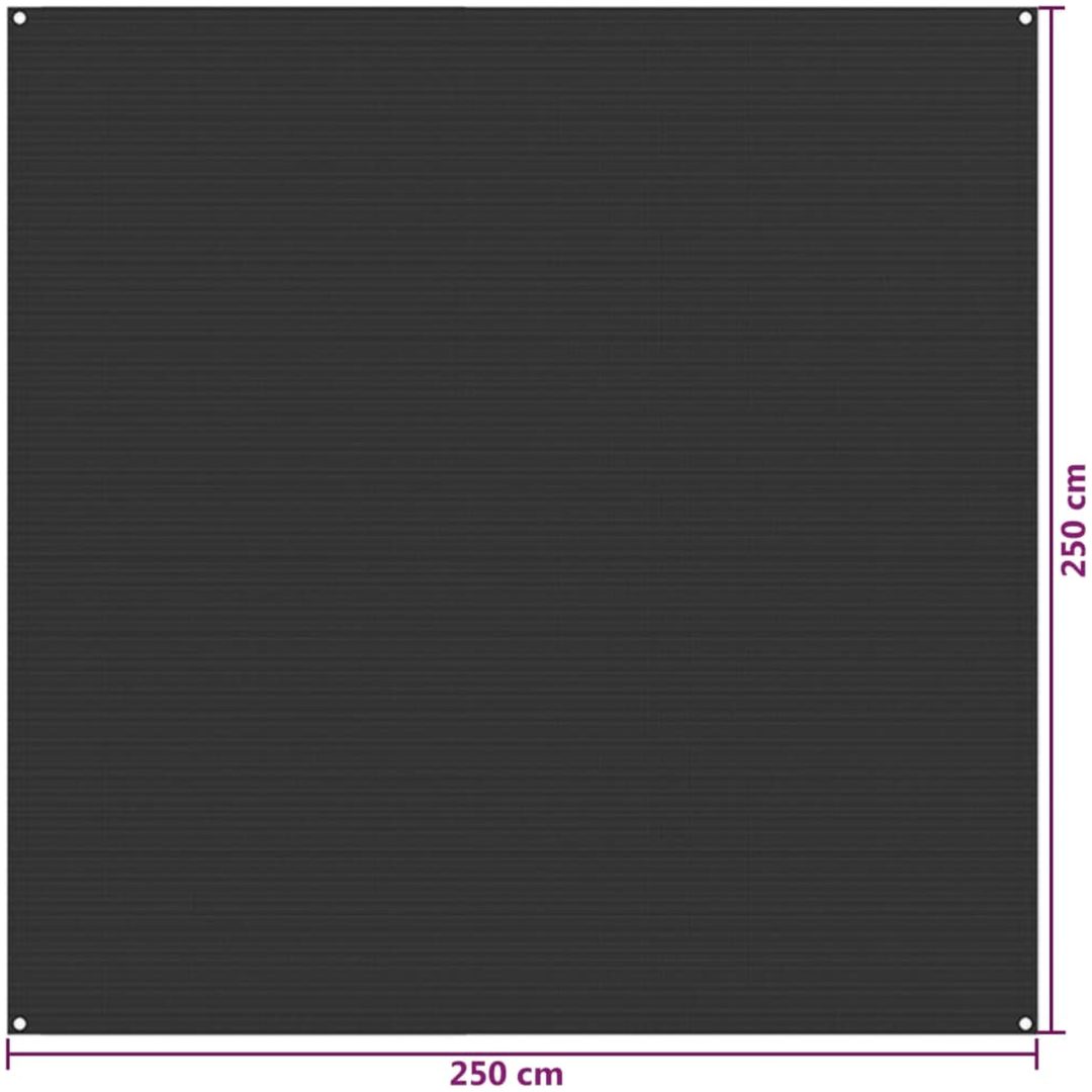 Tältmatta antracit HDPE vidaXL 250 x 250 cm – bild 5