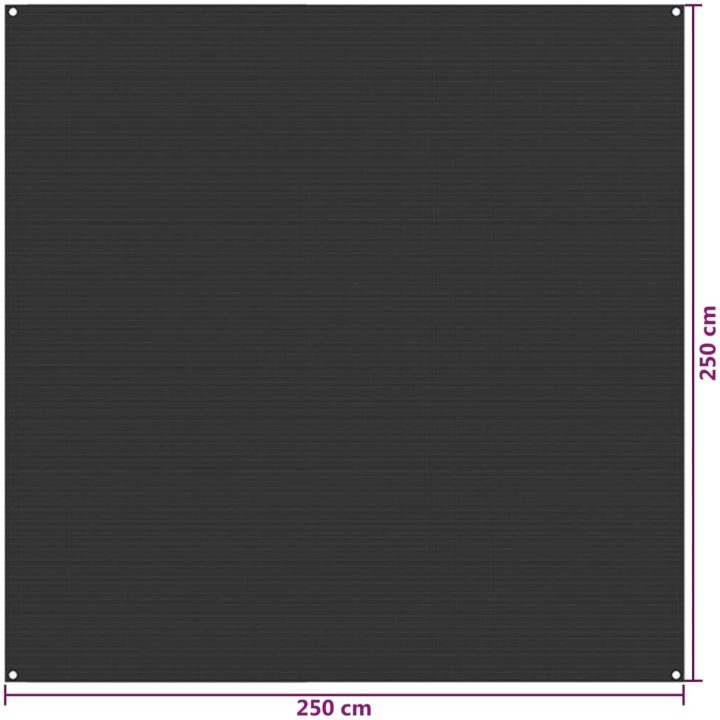 Tältmatta antracit HDPE vidaXL 250 x 250 cm – bild 5