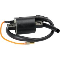 Tändpspole Standard OEM RICKS MOTORSPORT