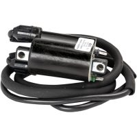 Tändpspole Standard OEM RICKS MOTORSPORT
