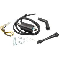 Tändpspole Standard OEM RICKS MOTORSPORT