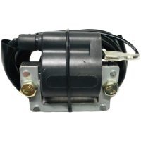 Tändspole FS1/DT50 + Suz.K50 Yamaha 439-82310-40