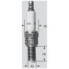 Tändstift CHAMPIONS CHOICE Tändstift – miniatyr 1