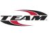 Team 10 Logo