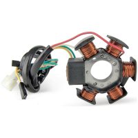 Tec-X Stator, Ducati-modell