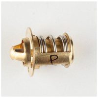 Termostat Original RIEJU