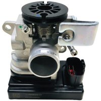Throttle Body Assy