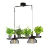 Timjan Takl, Svart ANETA HOME Svart – miniatyr 2
