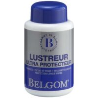 Titanium Polish - 250ml Bottle BELGOM